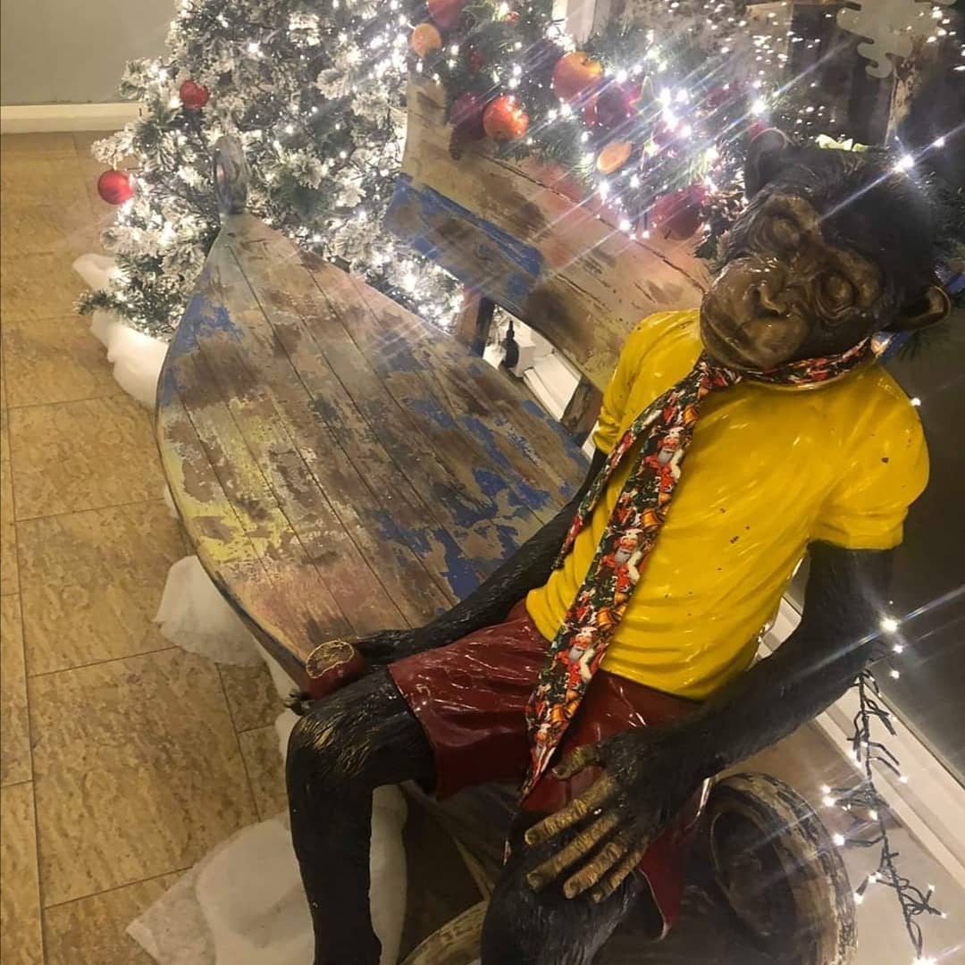 Duck Bay Marina review photo