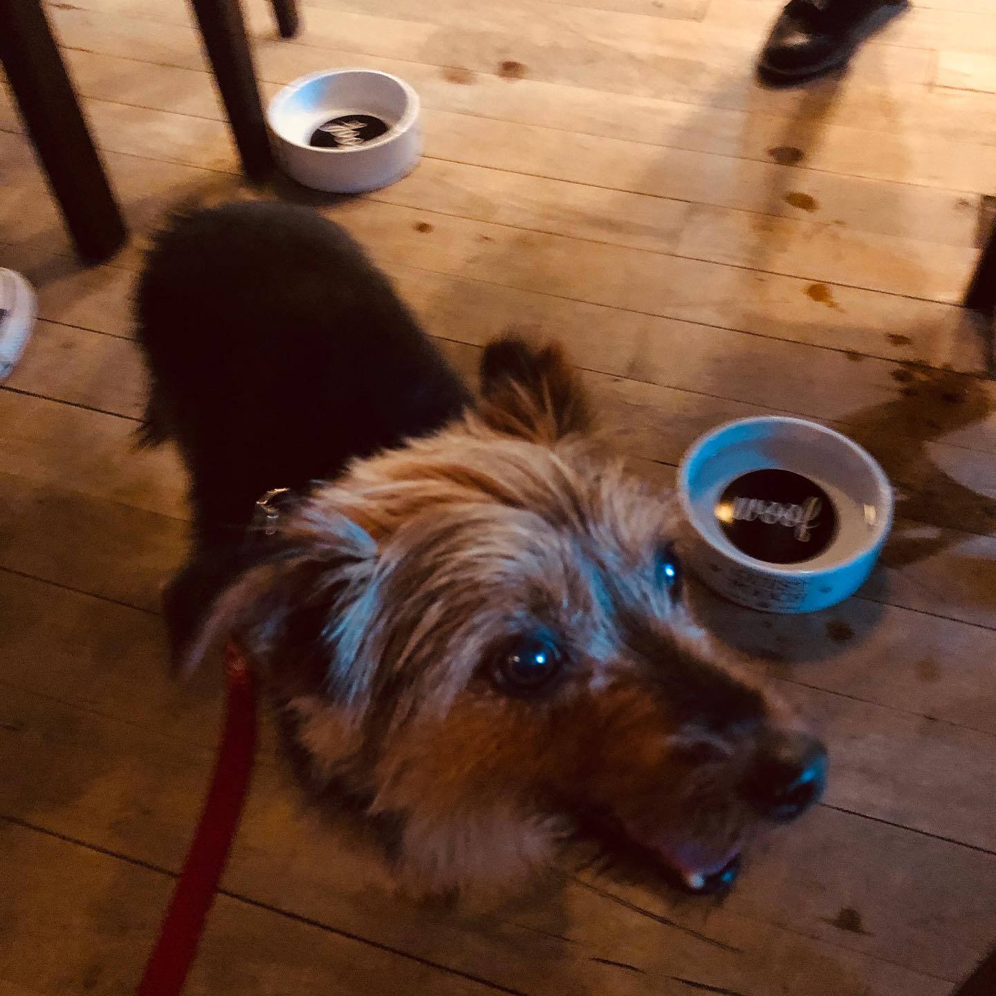 WEST On The Green review photo