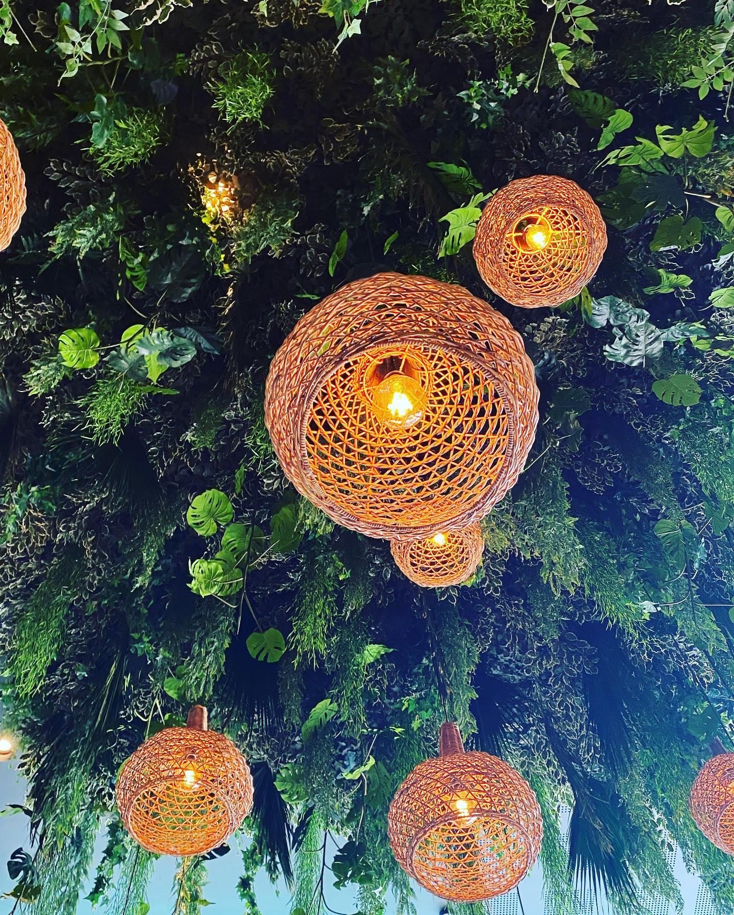 Mamasan Bar & Brasserie review photo