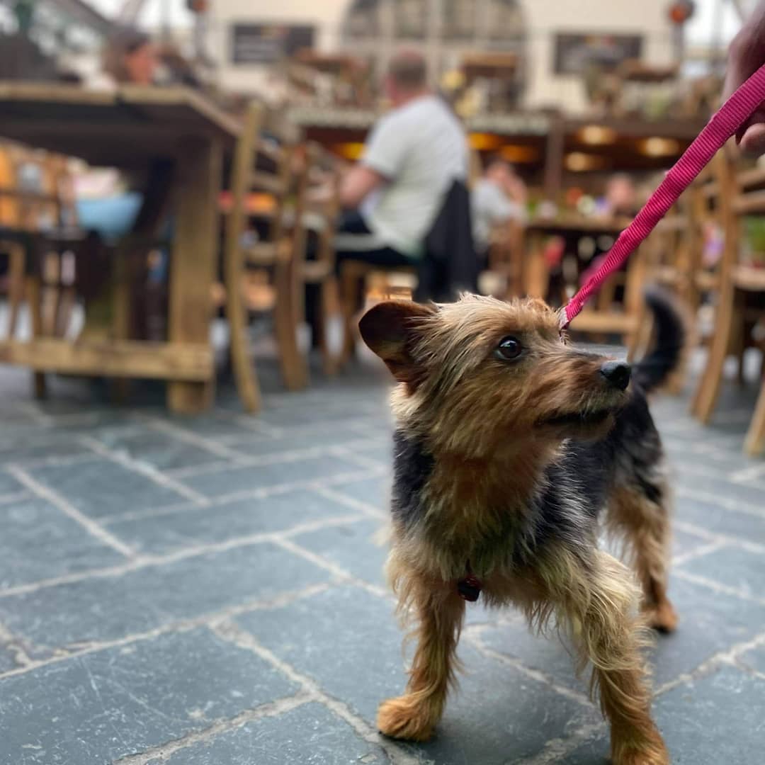 Baad Glasgow, The Calton Tap Room review photo