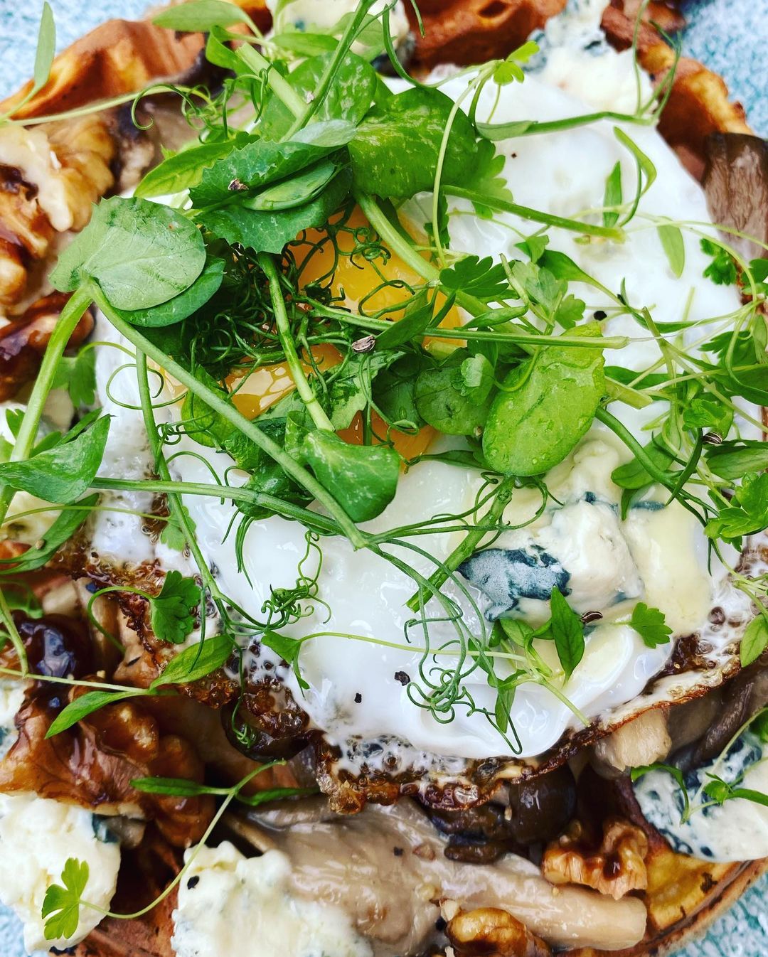 Cafe Strange Brew review photo